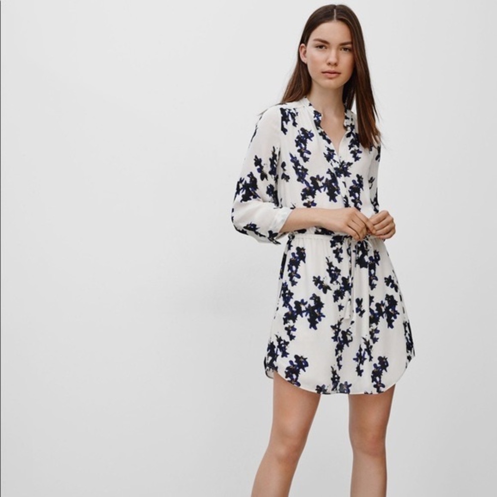 Aritzia Babaton Bennett Silk Floral Dress